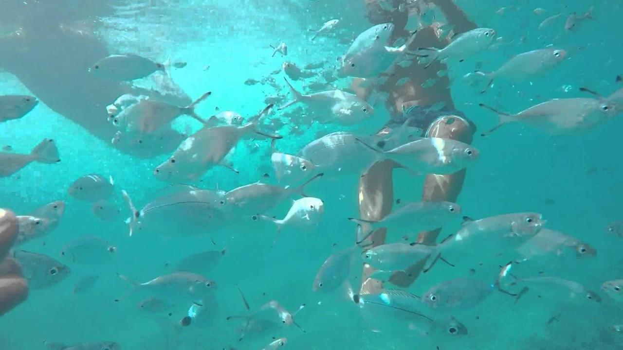 Hotel El Trebol Carboneras Kültér fotó